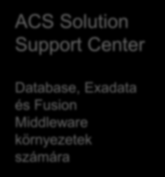 Az ACS Megoldása A meglévő IT környezet proaktív felülvizsgálata és javítása Health check, teljesítmény-vizsgálat Best practice ajánlások megvalósítása Patch felmérés/implementáció Hibajegyek