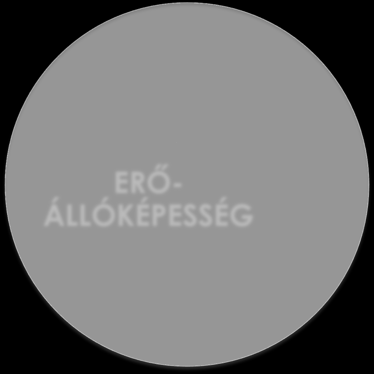 GYORSERŐ Erő Gyorsaság ERŐ- ÁLLÓKÉPESSÉG
