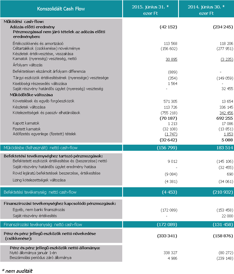 SYNERGON Csoport Cash-flow A Társaság nettó pénz és pénz jellegű eszközök állománya 2015. június 30-án 5 millió forint pénzegyenleg volt.