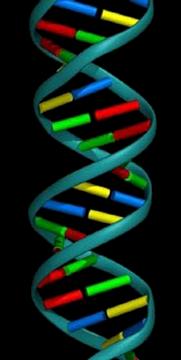 A génterápia genetikai anyag bejuttatatása diszfunkcionálisan működő sejtekbe abból a célból, hogy a hibát kijavítsuk.