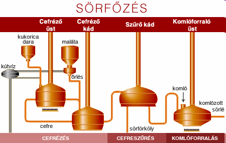 Forrás: www.