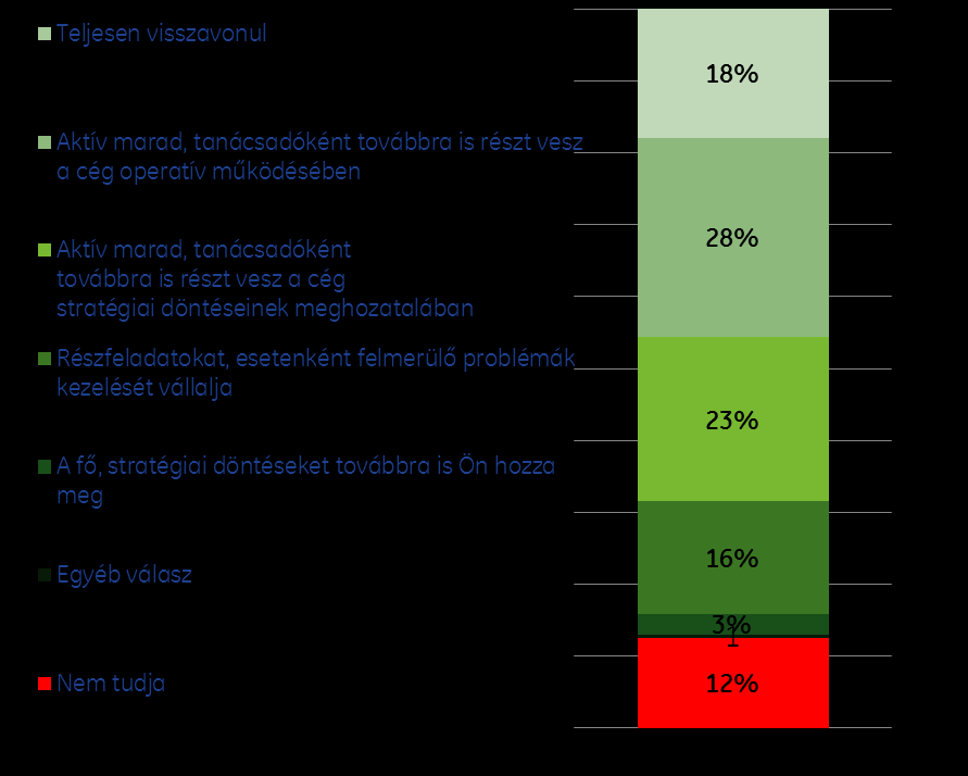 Önnek mi lesz a szerepe? Milyen szerepet szán magának az utódlás bekövetkezte után?