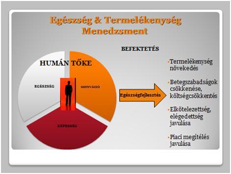 Egészséges humántőke = többszörösen megtérülő befektetés Munkahelyi egészségfejlesztés, mint megtérülő beruházás a munkaerő egészsége érdeke mind a munkavállalónak, mind a munkáltatónak a