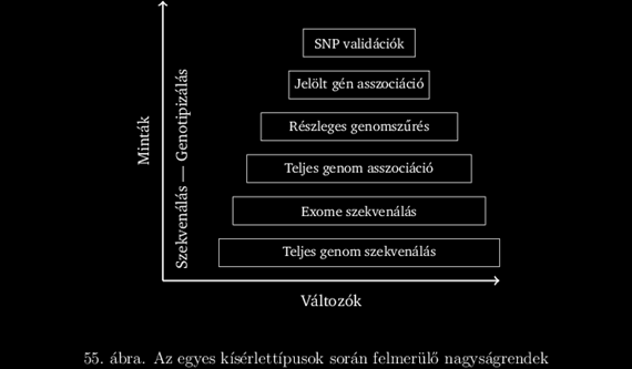 1. Tárgyterület modellezése. Rendszerint magában foglalja a szakirodalom alapos átkutatását; leggyakrabban maguk a tudósok végzik, változó mértékű bioinformatikai támogatással.