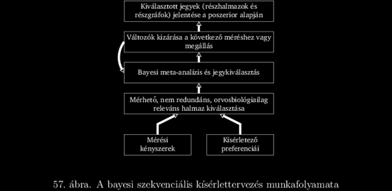 Az alábbi leírás a módszert kifejlesztő csoport közleményét követi [209]. Tekintsük az strukturális jegyeket és a posteriort az jegytér felett, az. lépésben meglévő tudásunk mellett.