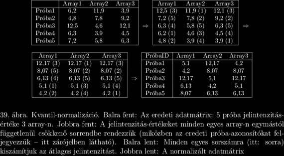 Kvantil-normalizáció. Először minden egyes array-n sorba rendezzük a jelintenzitás-értékeket. Majd, minden egyes sorszámra kiszámítjuk az átlagos jelintenzitást.