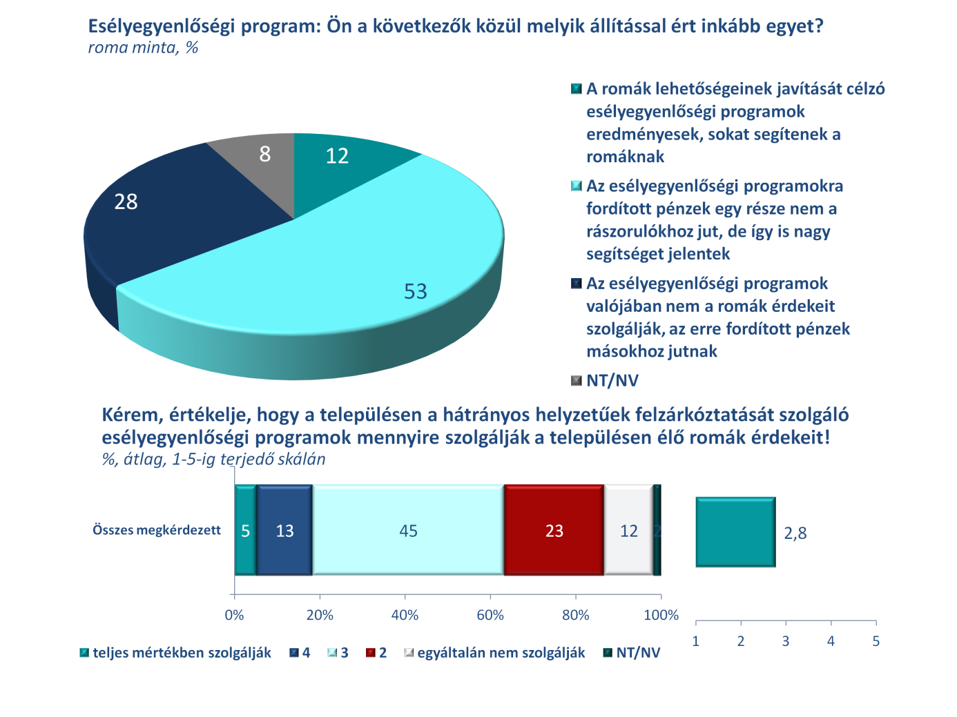 esélyegyenlőségi programok értékelése Mindezek után nem meglepő, hogy a csoport jelentős többsége (69%) úgy véli, hogy a lakóhelyének önkormányzata nem támogatja hatékonyan az anyagi nehézségekkel