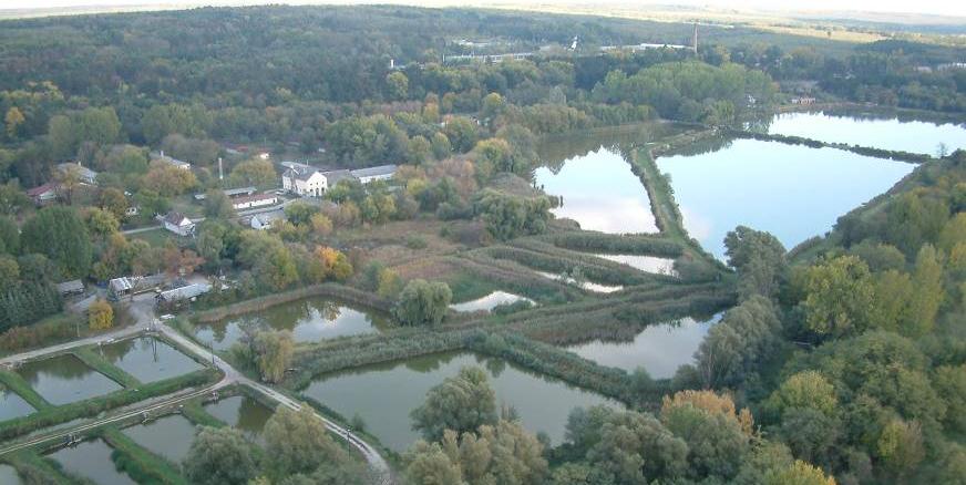 A gödöllői