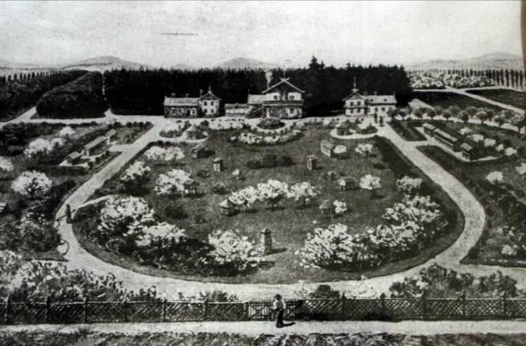 Méhészeti