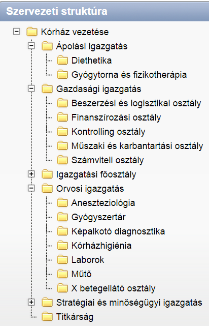 Indulási példa: kórházi minta-projekt Jellemző kórházi intézményi és szervezeti struktúra Vizsgált folyamatok: a betegellátáshoz kapcsolódó szakmai (és néhány főbb támogató)