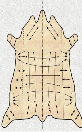 A kézi szabász munkahelye: A megfelelő fény mellett, olyan szabászasztalra van szükség, amelyre a bőrt teljes terjedelmében fel tudja teríteni, felületét át tudja tekinteni.
