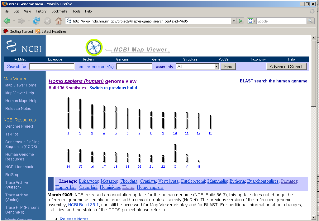 Mapviewer