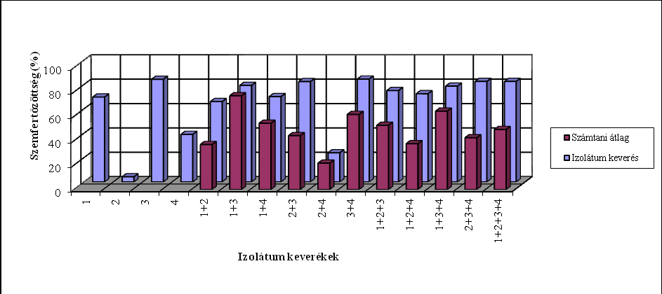 134 35. ábra Kalászfertőzöttség adatok átlag értékei az izolátum keverékek szerint, és a részinokulomok számtani átlag értékei (2013).