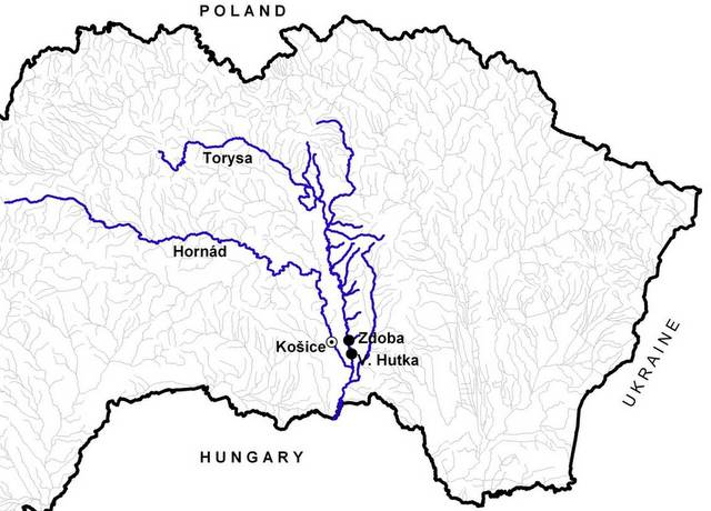 Škovranová et al. / Pisces Hungarici 7 (2013) 133 137 Hradil (1960), Kux and Weisz (1964), Kirka et al. (1981), Dorko (1983).