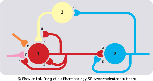 területen molecular