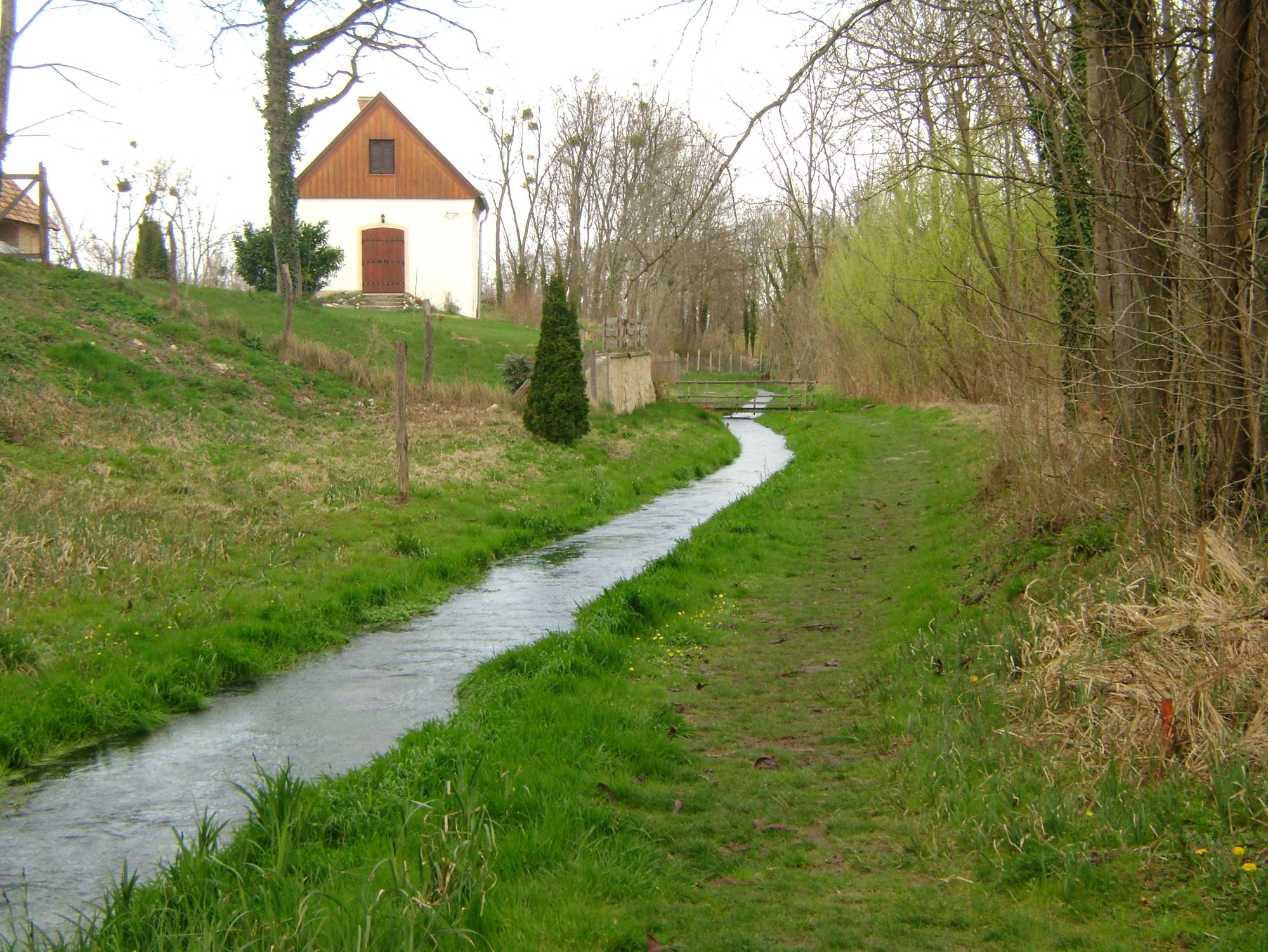 Tapolcafő