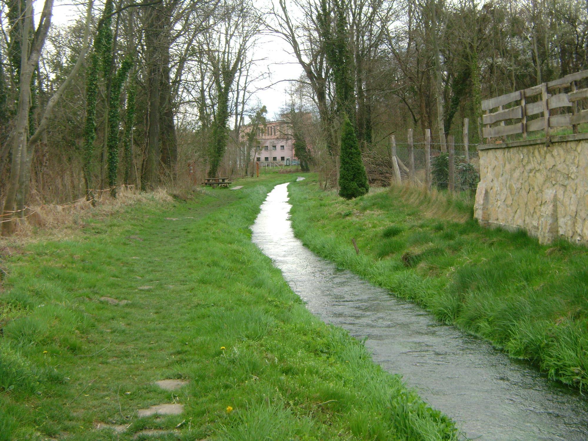 Tapolcafő