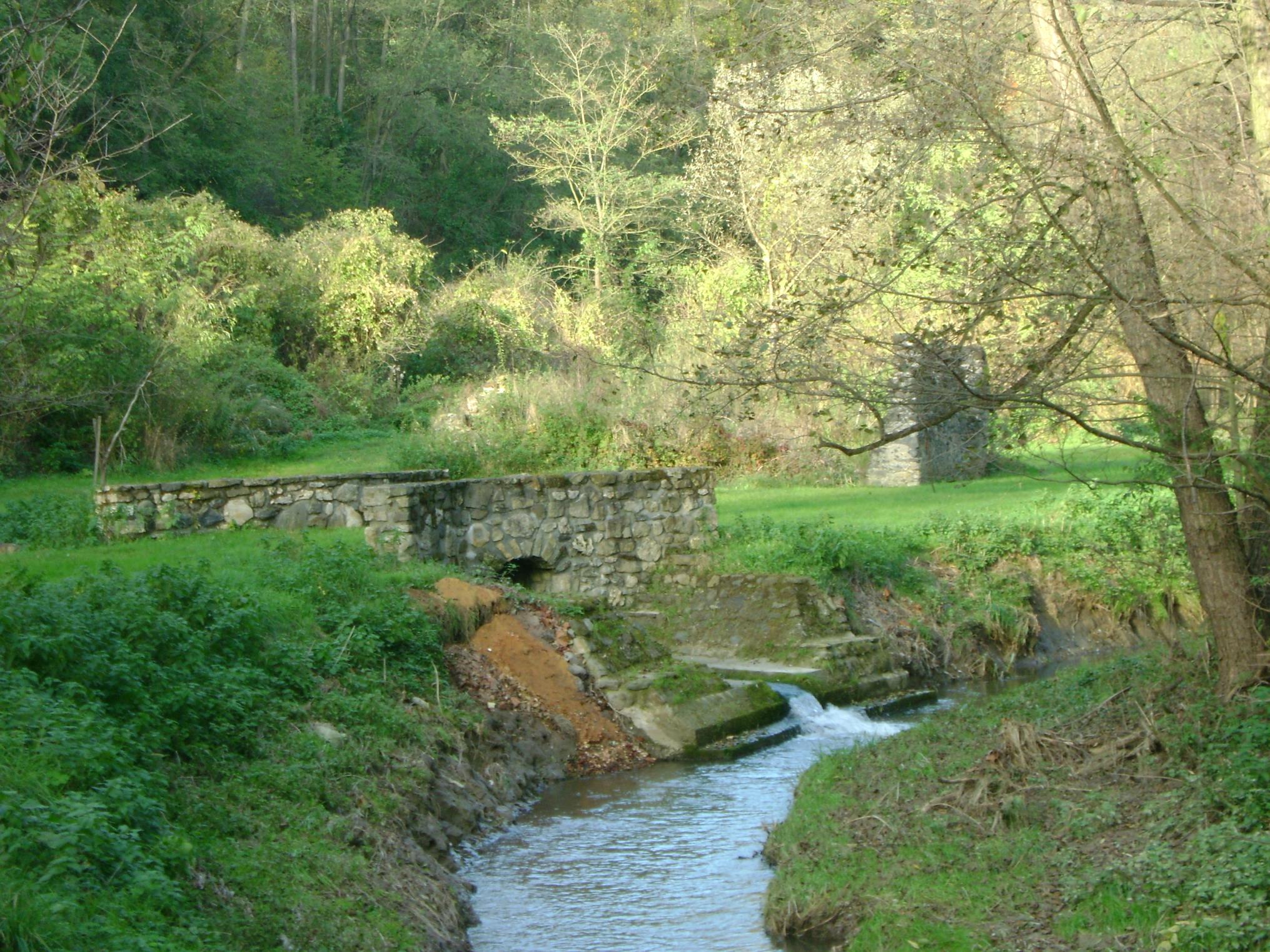 Eger-víz