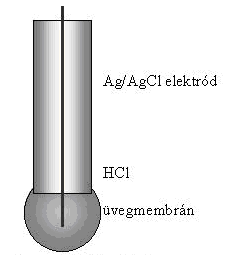 Bárány Zsolt Béla Marchis Valér A potenciál-meghatározó folyamat: 2 Hg + 2 Cl - Hg 2 Cl 2 + 2 e - A másodfajú elektródok jelentősek, mert a) állandó és reprodukálható elektródpotenciállal
