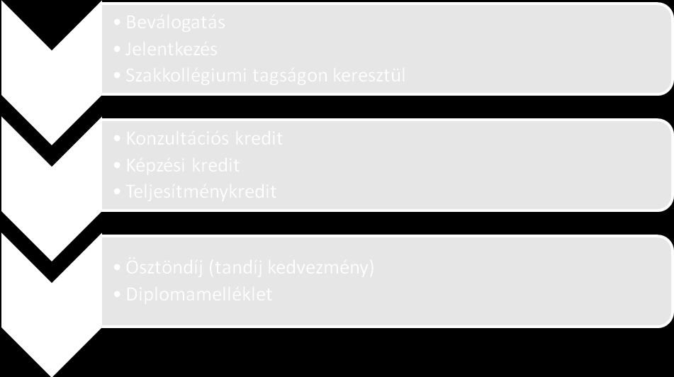 hallgatók mintegy 10-15 %-a kerülhet be összesen a tehetséggondozási projektekbe. A beválogatott hallgató meghívást kap a programba való részvételre.