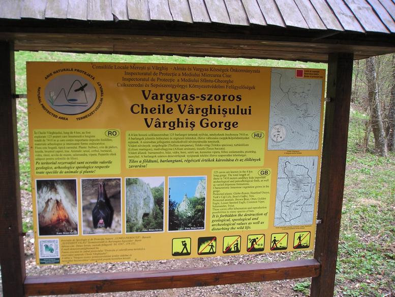 Vargyas-völgye Kréta vadflis szerpentinit Mikrofácies tanulmányokkal,