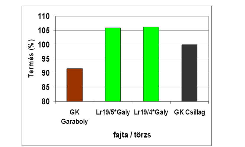 87 18. ábra. Levélrozsda fogékony GK Garaboly fajta és Lr19 levélrozsda rezisztenciagént tartalmazó változatainak termőképessége C-törzs kísérletekben (Szeged, Kiszombor 2012).