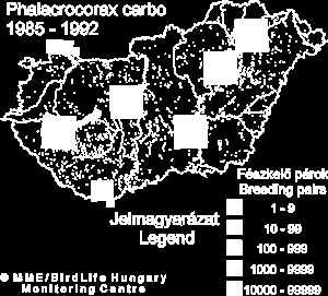 Elterjedés - állományhelyzet európai elterjedésű két törzsalakkal, Észak-Nyugati (Ph.c.