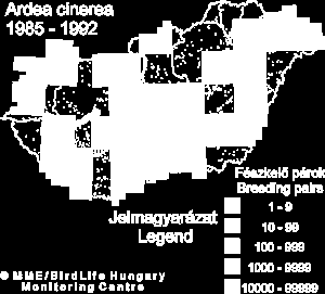 Elterjedés - állományhelyzet Közép- és Nyugat-Európában honos, foltokban a Skandináv és az Ibériai félszigeten is; Észak-Afrikában, Nyugat-Szibériában és Kínában is megtalálható; vonuló (febr-okt.