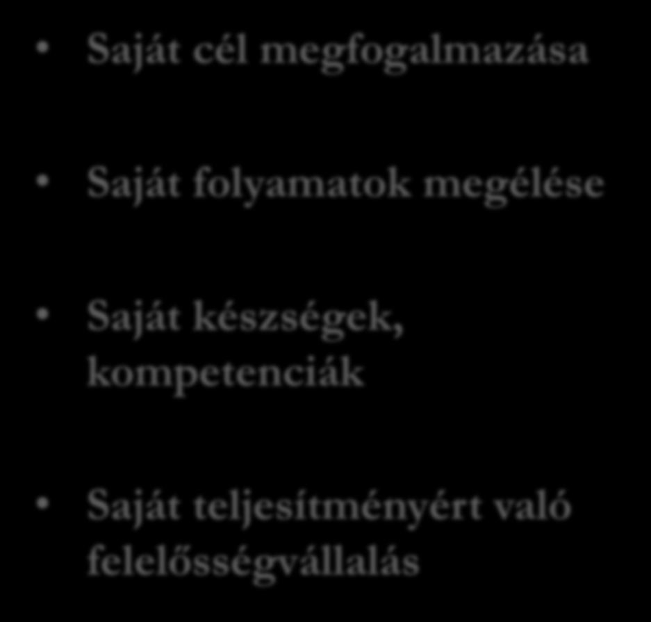 Egyéni coaching és csoportmunka egymást erősítő hatása Csoportmunka A csoportvezető alkotja meg a célt Csoportszerepek és folyamatok megismerése Saját egyéniség megtartásával