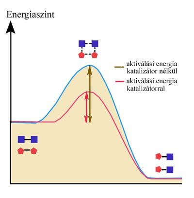 2. Egyed alatti szerveződési szint Szerves molekulák 27/60 2.1.5 fehérjék Fehérjék alapegységei, az aminosavak.