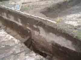 Fig 133 The section of the street with the refuse pit that was covered by the layers of the street (Drawn by the