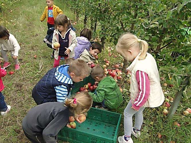 Tijekom cijele godine u Centru se održavaju različite aktivnosti, natjecanja i smotre.