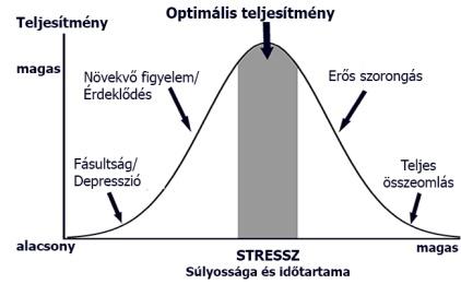 Összegzés Mindenkinek van, mindenki beszél róla, de még mindig nem tudunk eleget a munkahelyi stresszről és a munkavédelemmel kapcsolatos (és a népegészségügyet is érintő) hatásairól.