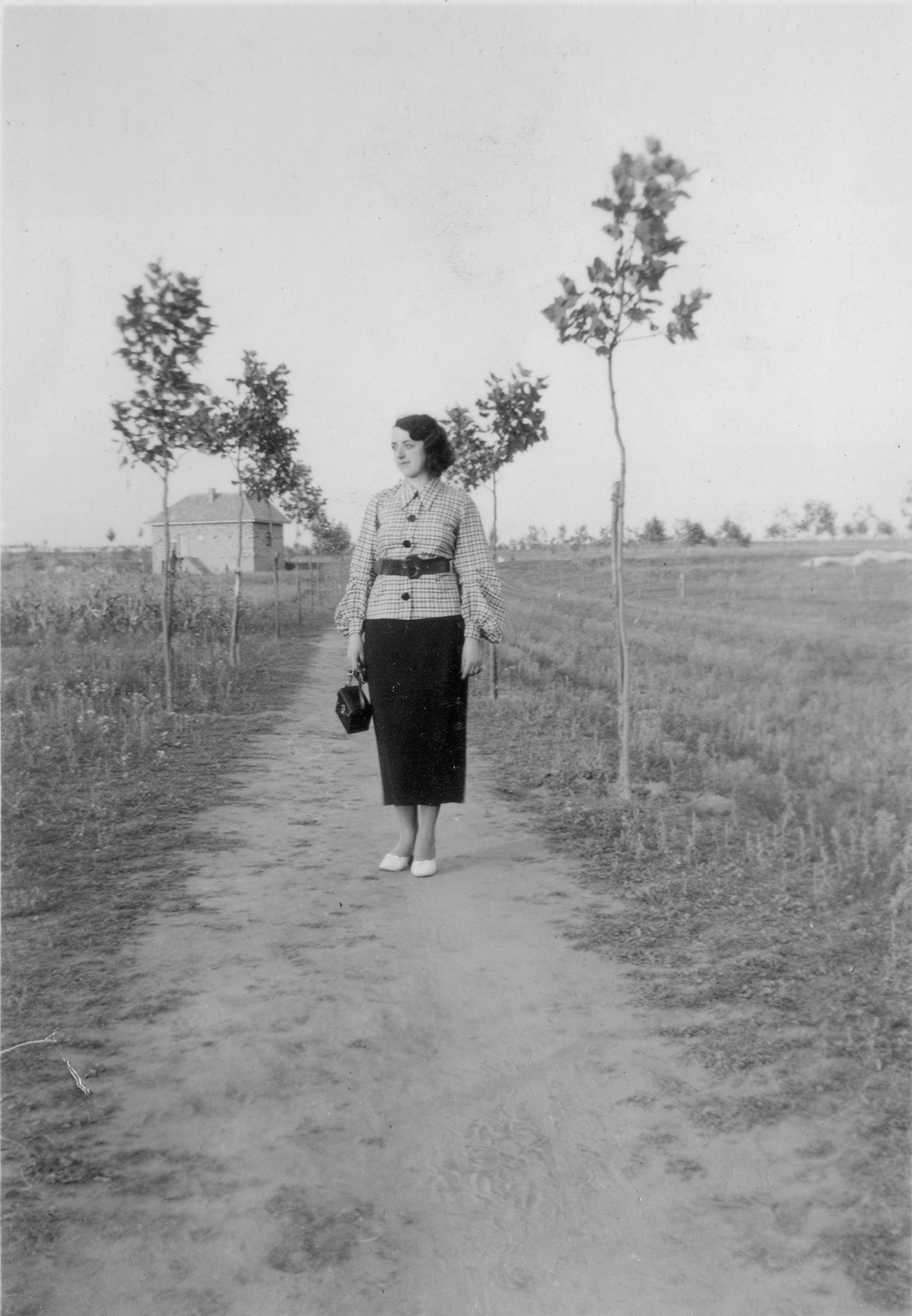 Platánsor, 1936 terecskét alakítottak ki, lehetővé téve azok parkosítását, padok telepítésével elősegítve a közösségi életet Voltak olyan területrészek is, amelyeket egy tagban hagytak a parcellázási