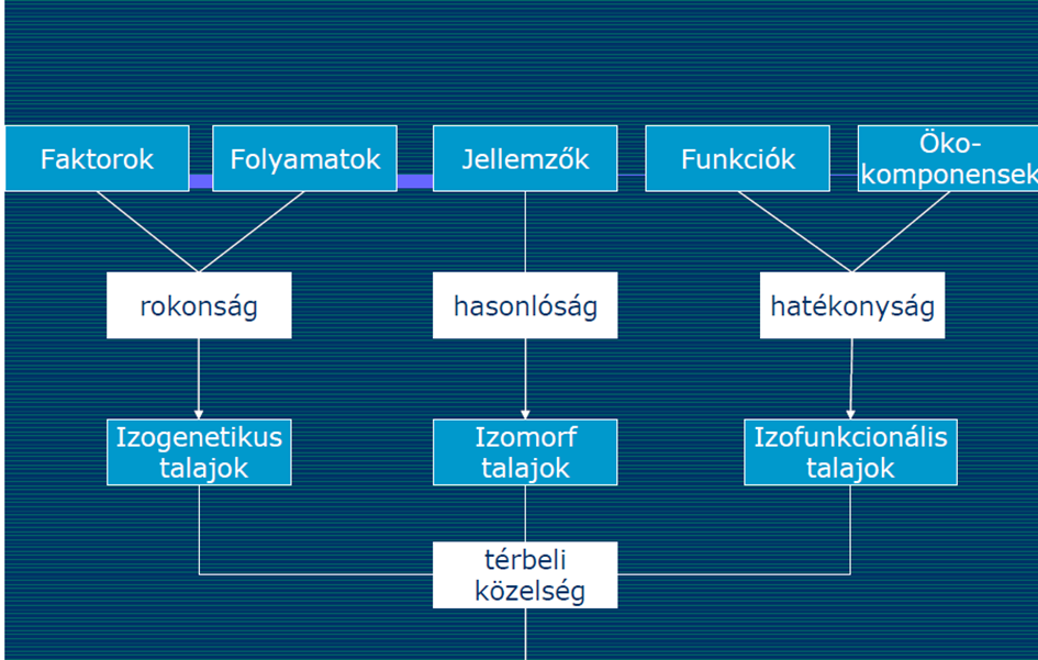 25. ábra: Talajosztályozás szempontjai (Novák 2005) 11.2. Talajképződés során lejátszódó fontosabb folyamatok Podzolosodás Az alapkőzetből érkező savas szerves anyagok fokozatosan kezdik érvényesíteni hatásaikat.