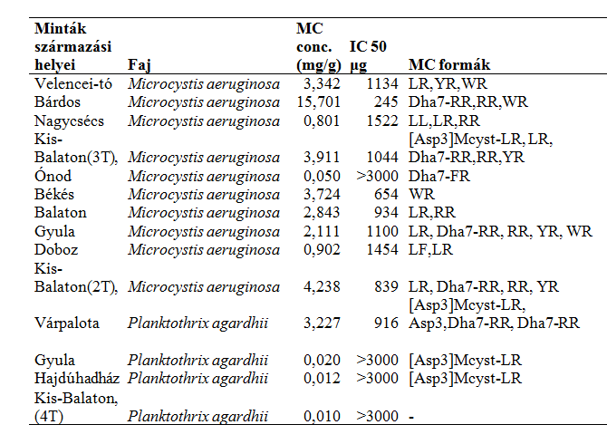 az üledékből is kimutatható (Reskóné, 1998). Törökné és munkatársai (2000, 2001) adatai szerint a Velencei-tavon 1997-2000 között is toxikus M. aeruginosa törzs(ek) tömegprodukciója jellemző.