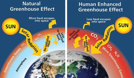 A klíma változás Az elsődleges ok a széndioxid és az üvegház hatású gázok kibocsátás növekedése Globális hőmérséklet emelkedés -