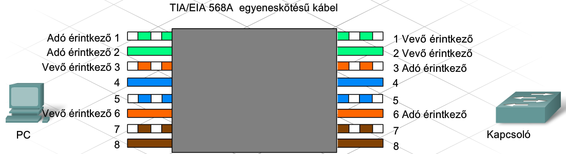 4. Csatlakozás az internethez CCNA Discovery 4.0 Azt, hogy melyik típusú egyeneskötésű kábelt (T568A vagy T568B) használják a hálózatban, a hálózat által használt kábelezési séma határozza meg.