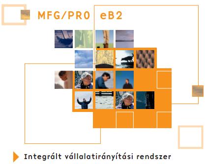 QAD Enterprise Applications, korábban: MFG/PRO Magyarországi felhasználók: BPW-RÁBA Futóműgyár Kft. Caterpillar Magyarország Rt. Cerbona Rt. Gázipari Gépgyár Kft. Kraft Food Hungária Kft.