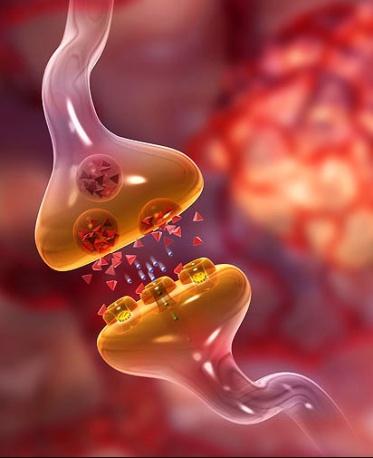 Magyarázó elméletek 40 1. Kóros fehérjeképződési modell 2. Neurotranszmitter modell 3. Genetikai modell 4.