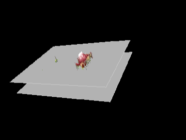 7.kép TIS3D szoftwer két mérősíkos mérés, a jobb kar intenzitás láthatóan nagyobb a bal karnál. V.2.