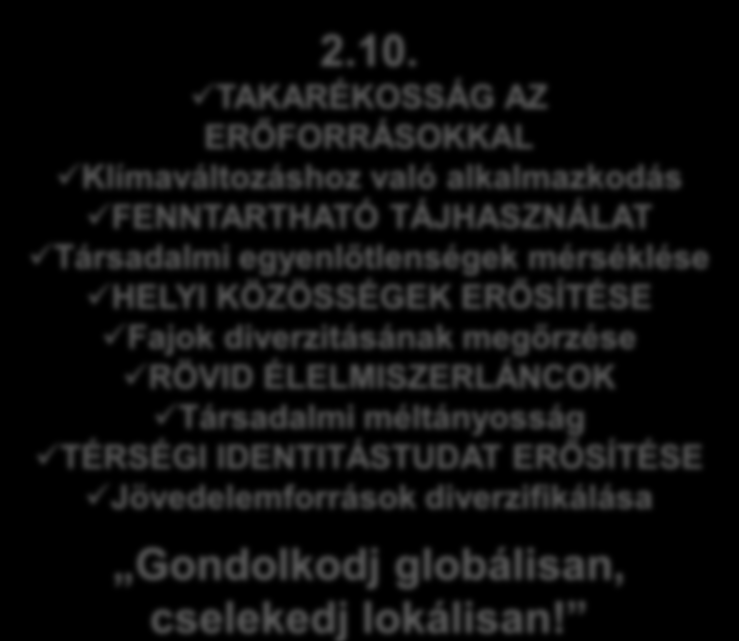 2.6. Pályázó bemutatása, kapcsolódó tevékenységei. A fejlesztés jelenlegi környezetének bemutatása. A fejlesztés szükségességét alátámasztó körülmények, igények, szükségletek.