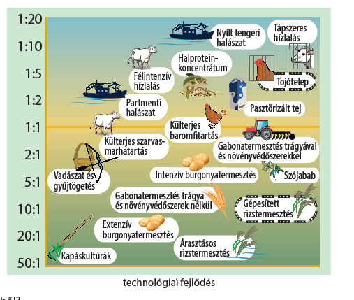 az adatok bizonyítékként, érvként való felhasználása kritikai gondolkodás (értékelés, döntések megalapozása, magyarázatok megalkotása bizonyítékok, érvek, ellenérvek alapján) változók vizsgálata