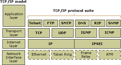 TCP / IP