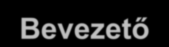 Bevezető Mennyire biztonságos az Ön webáruháza? Miből tudja ezt? Lehet vizsgálni a webáruház biztonságát? Érdemes a biztonsággal foglalkozni?