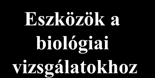 A releváns biomolekulák (receptorok, enzimek) azonosítása, 3D struktúrájuk meghatározása (X-ray, NMR) Szerkezeti információ A kémiai tér szerkezetének felderítése, komplementer struktúrák tervezése