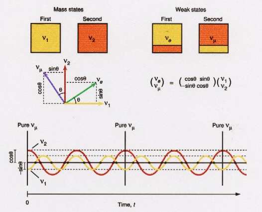 Neutrínó-oszcilláció Neutrínó-állapotokat gyenge kölcsönhatás keveri Tömegállapot: (ν 1, ν 2 ) gyenge kh. sajátáll.