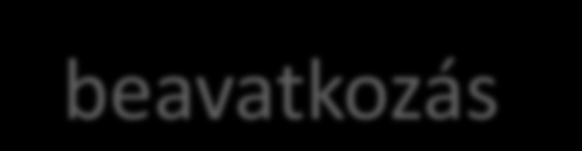 Valódi rendszer érzékelés beavatkozás Feldolgozás 2015.