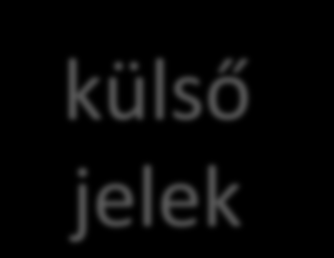 külső jelek beavatkozás jelátalakítás jelátalakítás Gépi