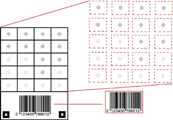 Proteinchip légúti és élelmiszer